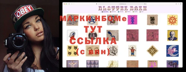 Альфа ПВП Аркадак