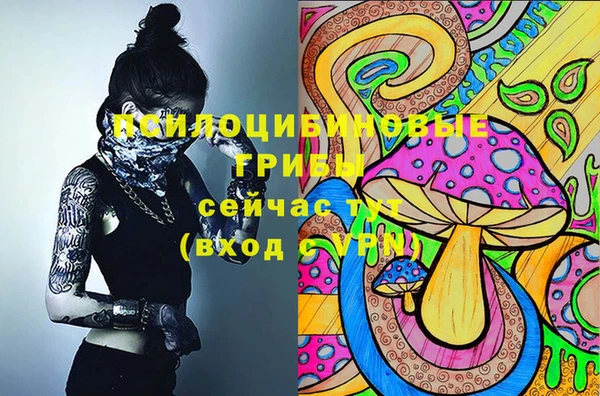 Альфа ПВП Аркадак