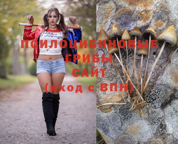 а пвп мука Армянск