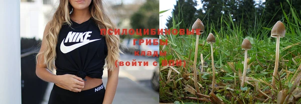 mix Арсеньев